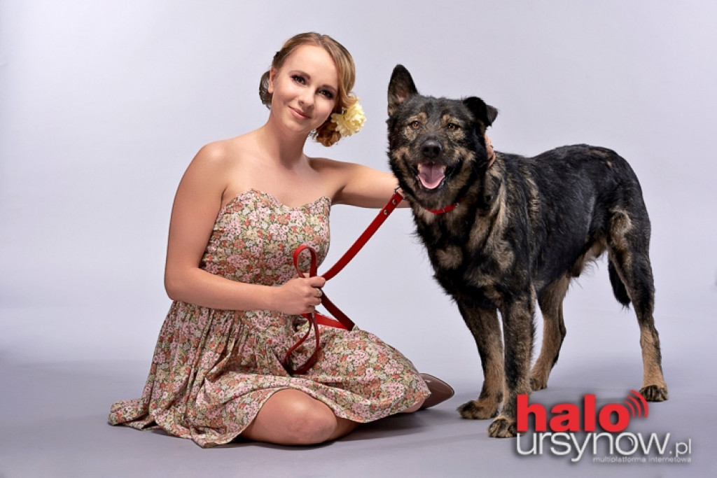 Czworonogi w blasku fleszy FOTO