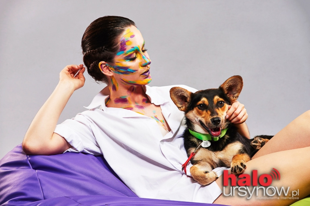 Czworonogi w blasku fleszy FOTO