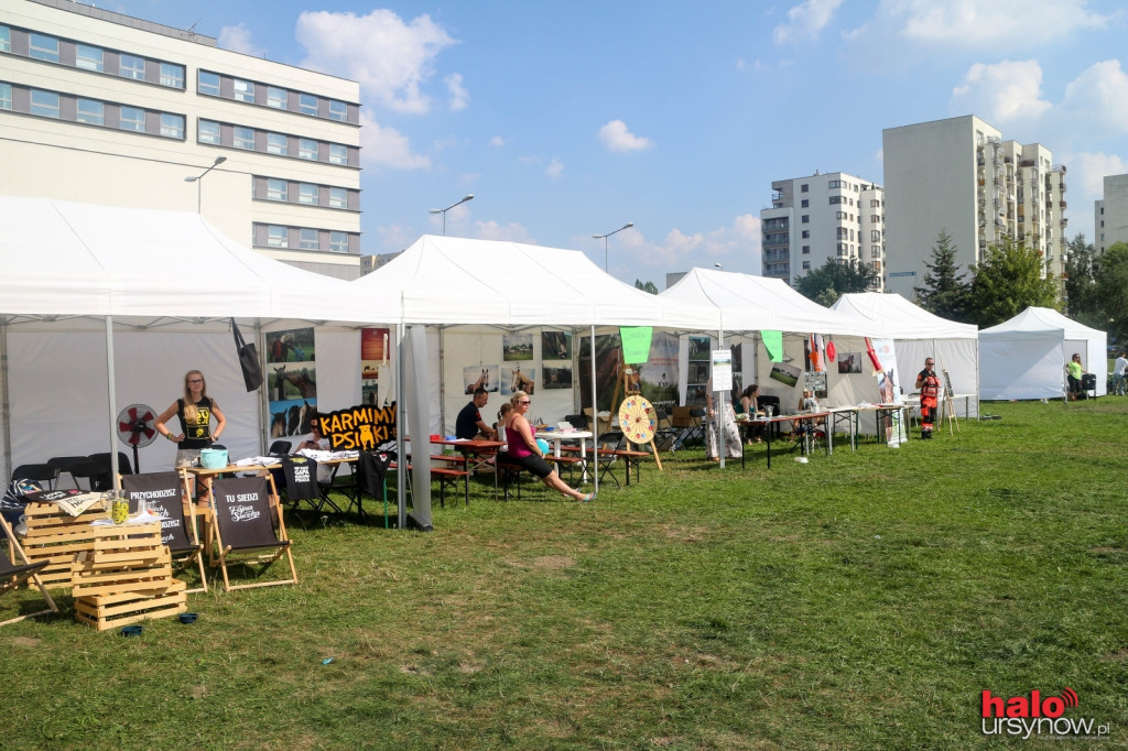 Ursynów naprawdę dobry dla zwierząt! FOTO