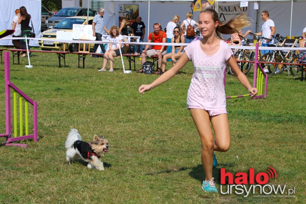 Ursynów naprawdę dobry dla zwierząt! FOTO