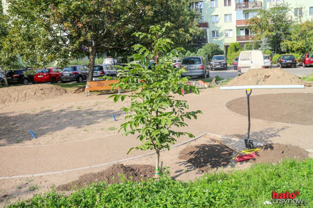 Skwer przy Cybisa nabiera kształtów