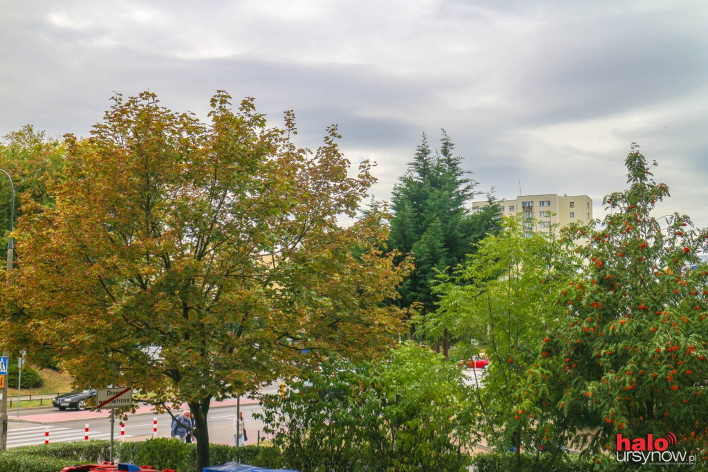 Ursynów wita jesień! Czas melancholii czy męczącej pogody?