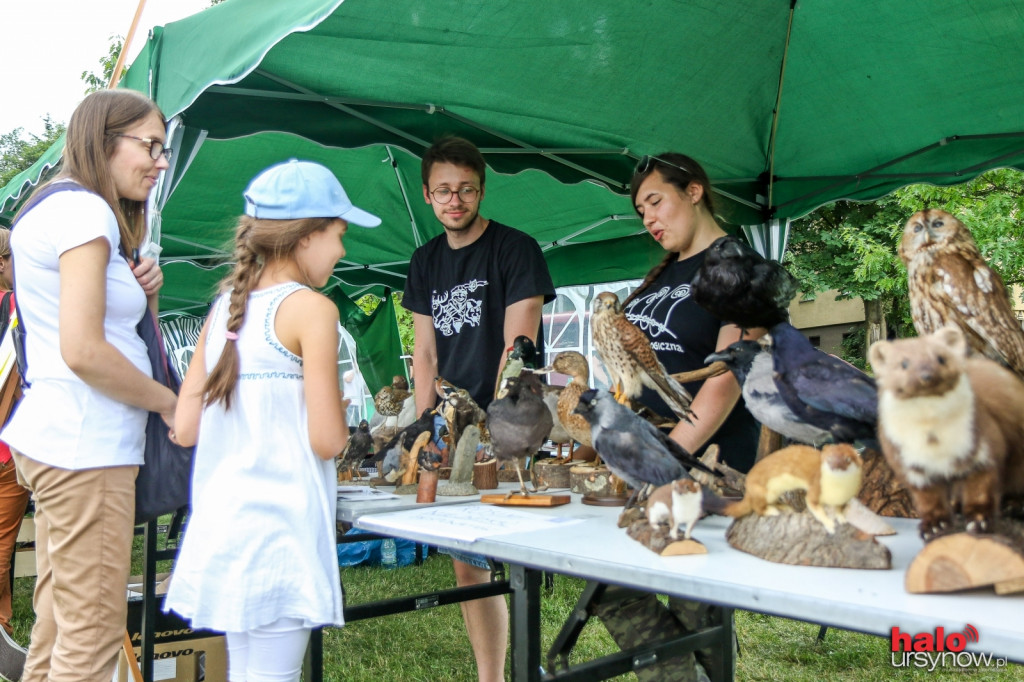 Chillout na pikniku Dni Ursynowa. Wieczorem wystąpią gwiazdy FOTO