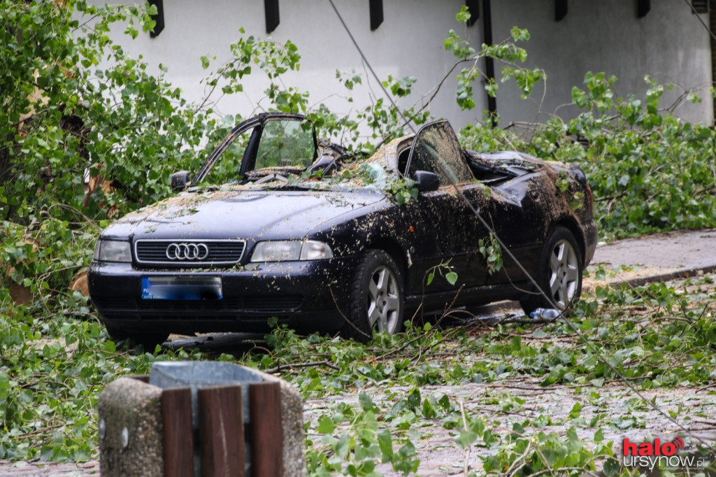 PO BURZY. Na Nowoursynowskiej auto przygniecione drzewem FOTO