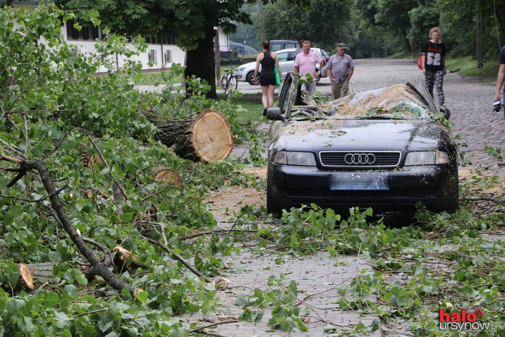 PO BURZY. Na Nowoursynowskiej auto przygniecione drzewem FOTO