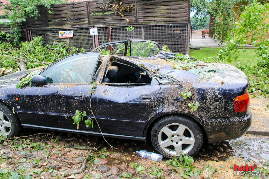 PO BURZY. Na Nowoursynowskiej auto przygniecione drzewem FOTO