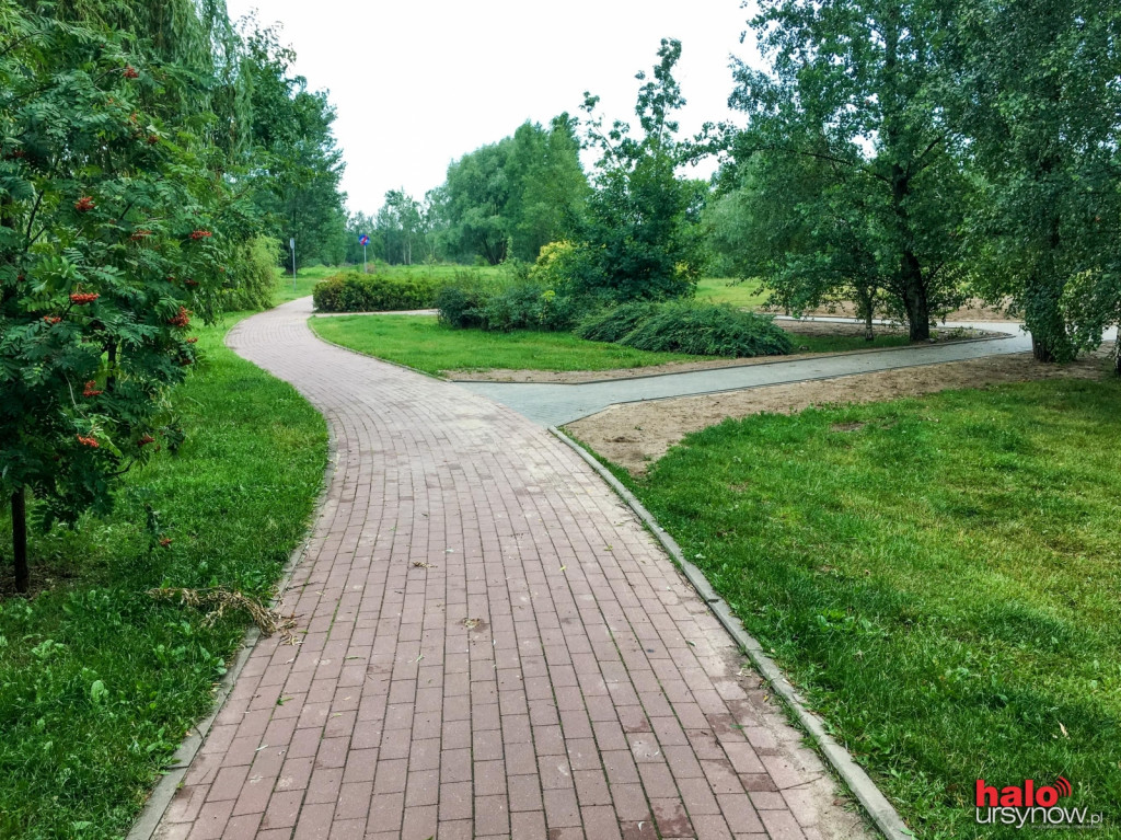 Chodnik czy ścieżka. Oto jest pytanie!