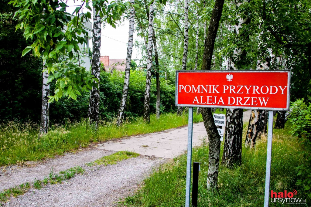 Oto duma Zielonego Ursynowa!