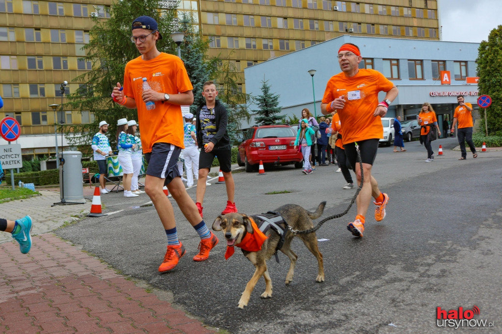 Rekordowy Onkobieg! Dwa tysiące uczestników FOTO