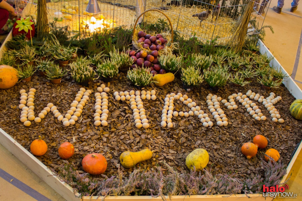 XII Wystawa Kur Ozdobnych SGGW