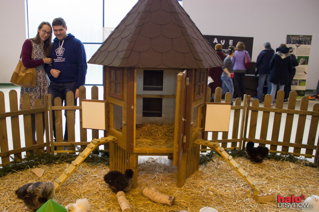 XII Wystawa Kur Ozdobnych SGGW