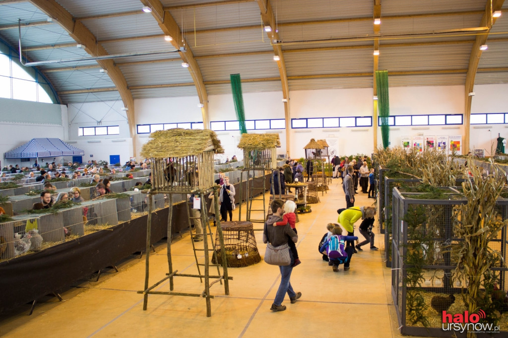 XII Wystawa Kur Ozdobnych SGGW