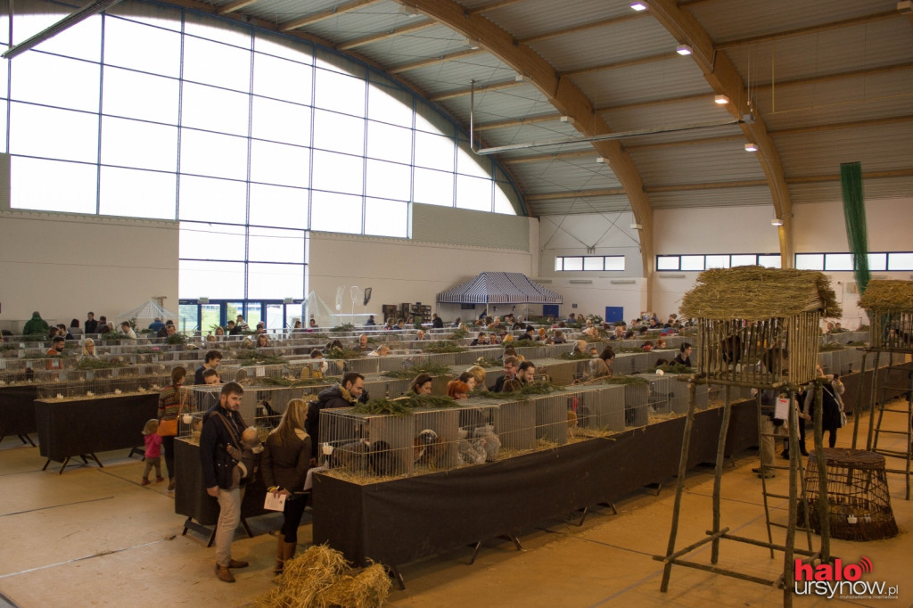 XII Wystawa Kur Ozdobnych SGGW