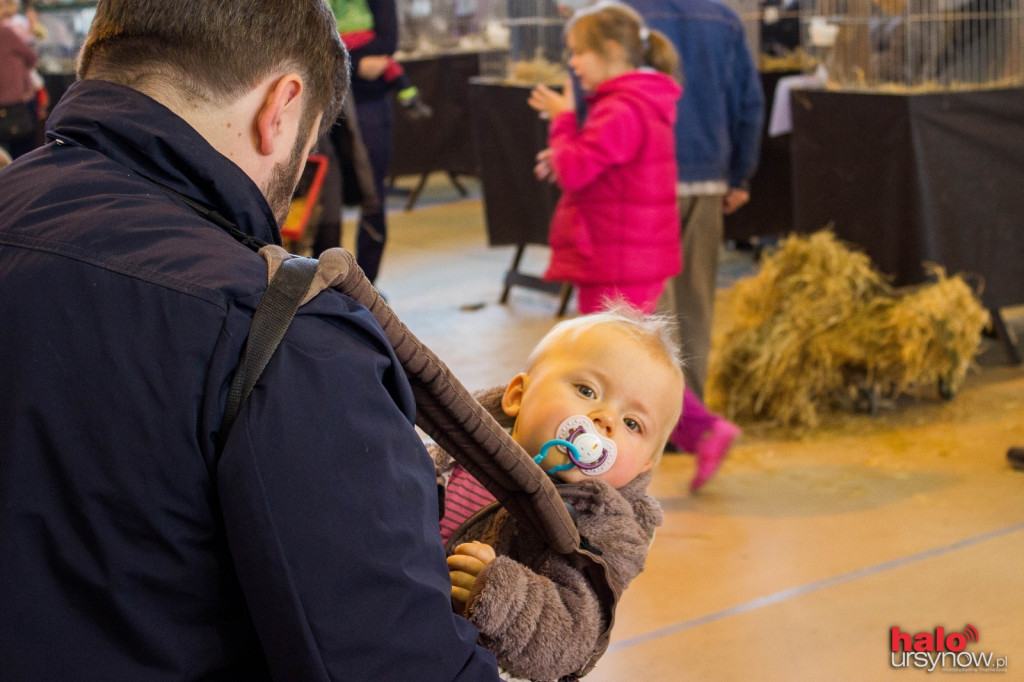 XII Wystawa Kur Ozdobnych SGGW