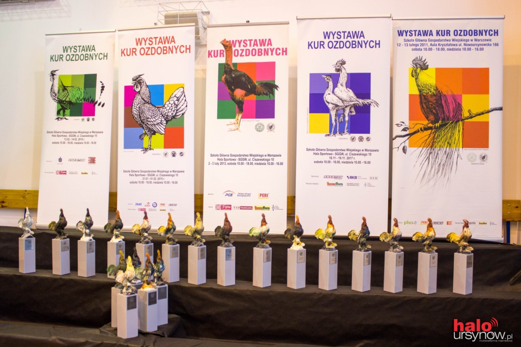 XII Wystawa Kur Ozdobnych SGGW