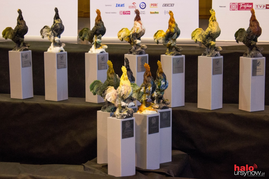 XII Wystawa Kur Ozdobnych SGGW