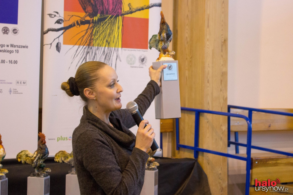 XII Wystawa Kur Ozdobnych SGGW