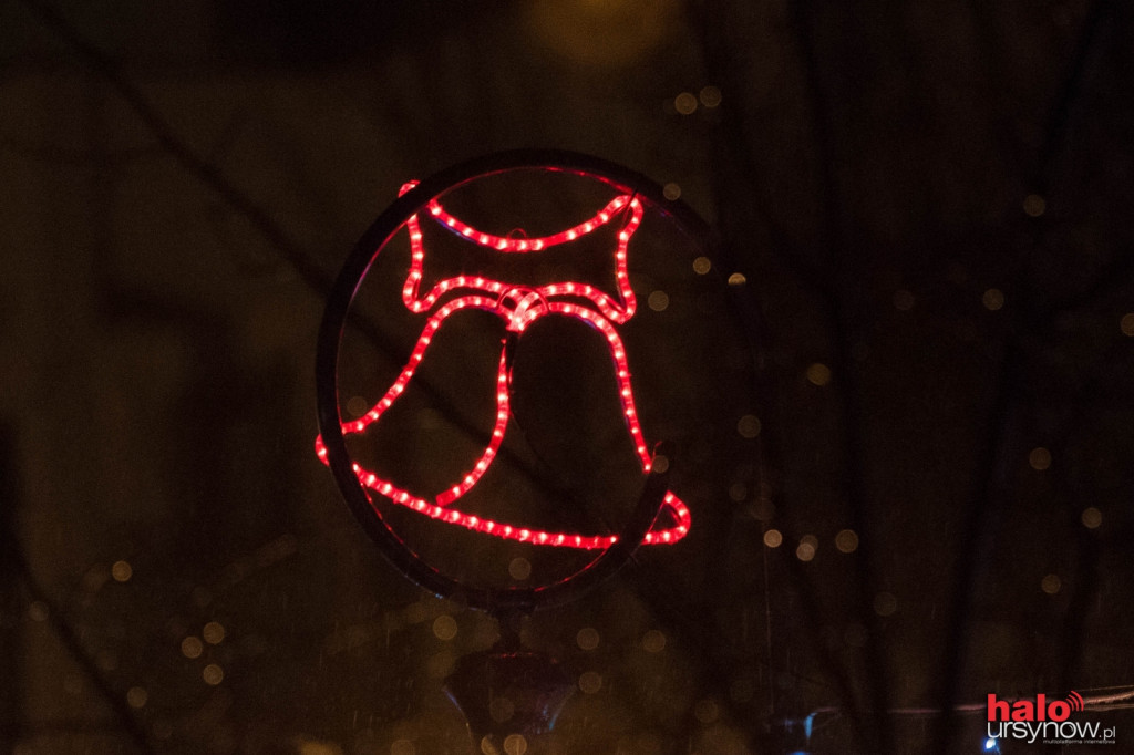 Świąteczna iluminacja w Parku Jana Pawła II
