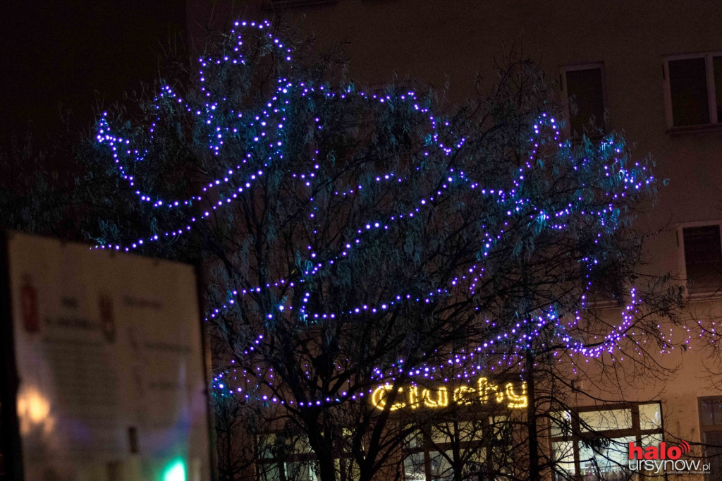 Świąteczna iluminacja w Parku Jana Pawła II