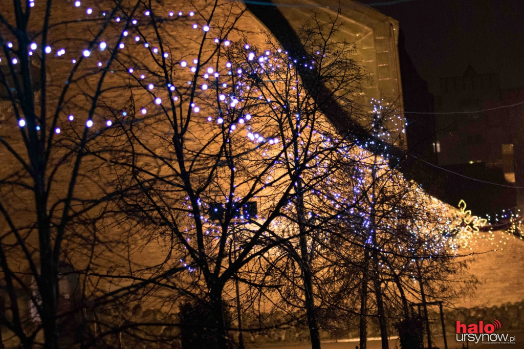 Świąteczna iluminacja w Parku Jana Pawła II