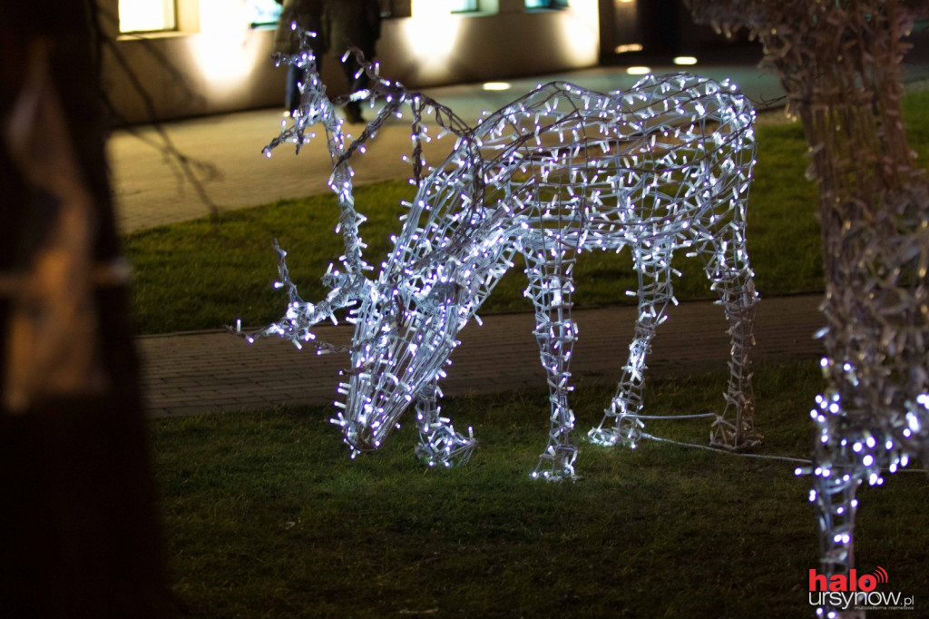 Świąteczna iluminacja w al. KEN odpalona! FOTO