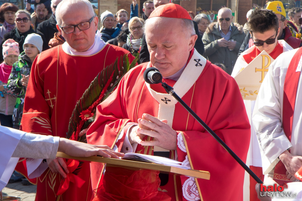 Niedziela Palmowa z kard. Nyczem. Mocne słowa o 