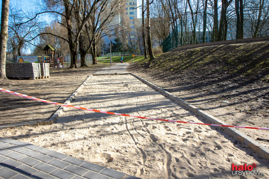 Połączą parki, uśmiercą drzewa?