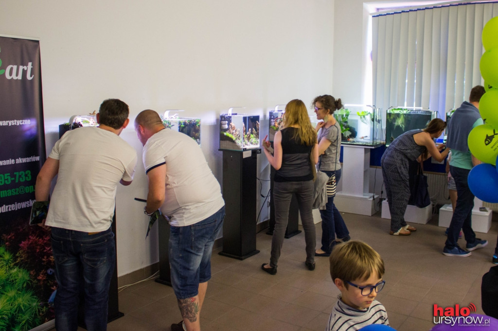 Piękne i przerażające, niezwykłe okazy na Dniach Akwarystyki
