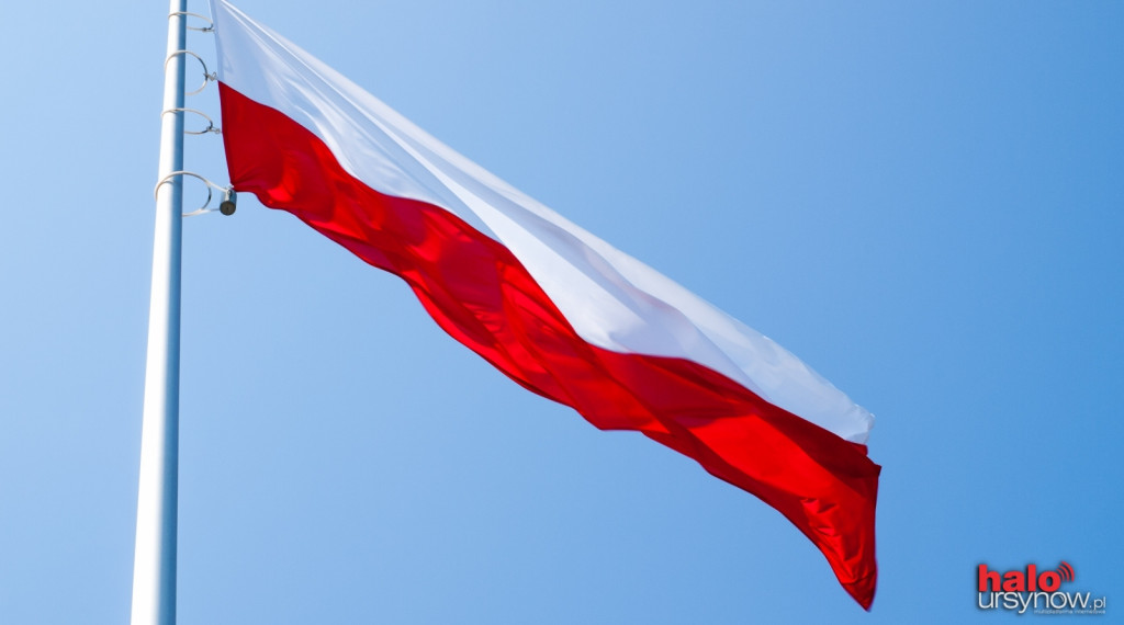 Zdjęcia domyślne