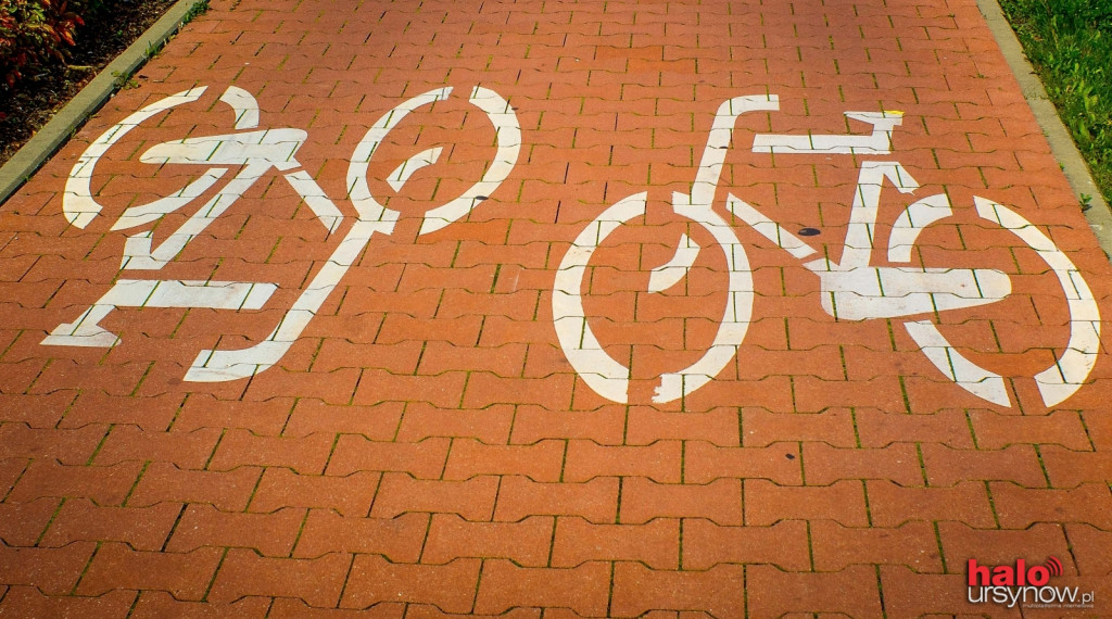 Zdjęcia domyślne