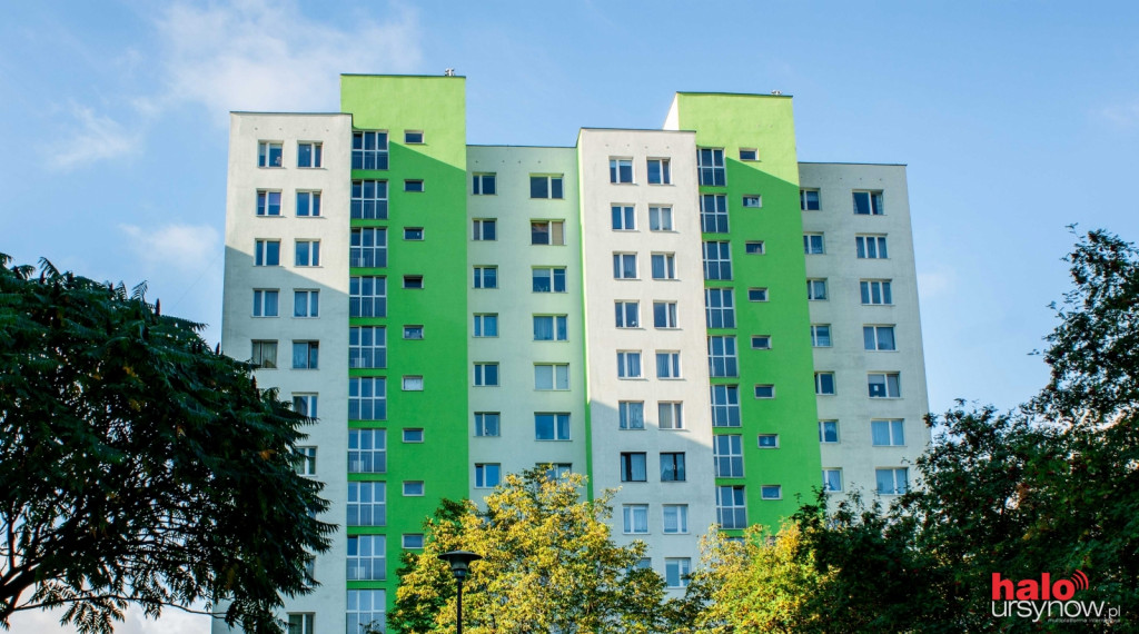 Zdjęcia domyślne