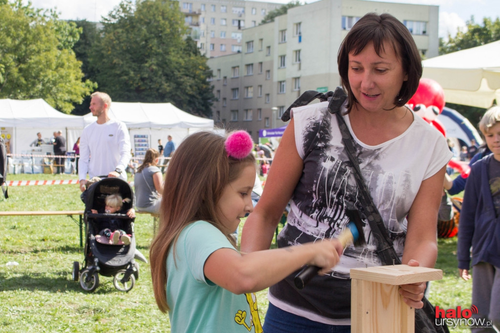 Wszystkie zwierzaki Ursynowa! Piknik na cztery łapy FOTO