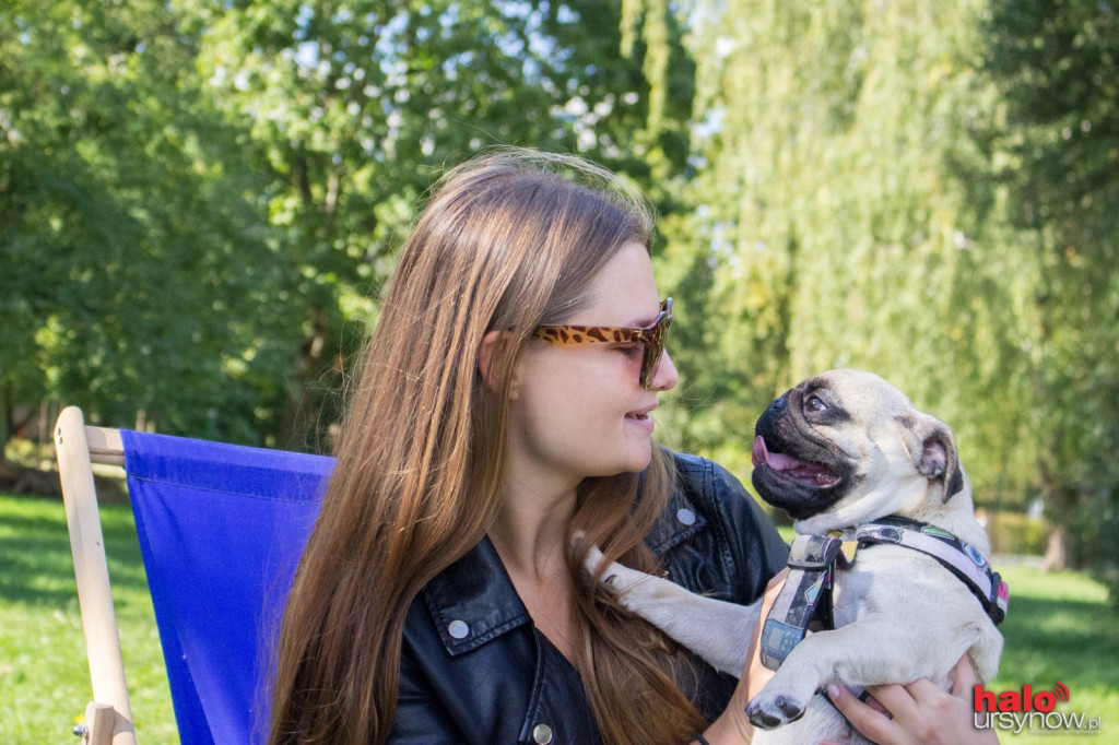 Wszystkie zwierzaki Ursynowa! Piknik na cztery łapy FOTO