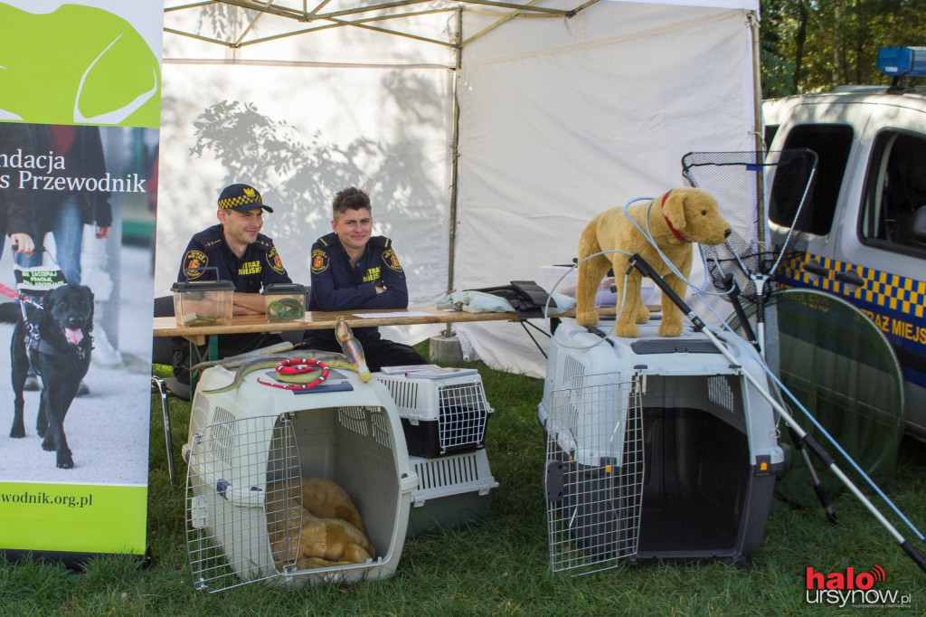 Wszystkie zwierzaki Ursynowa! Piknik na cztery łapy FOTO