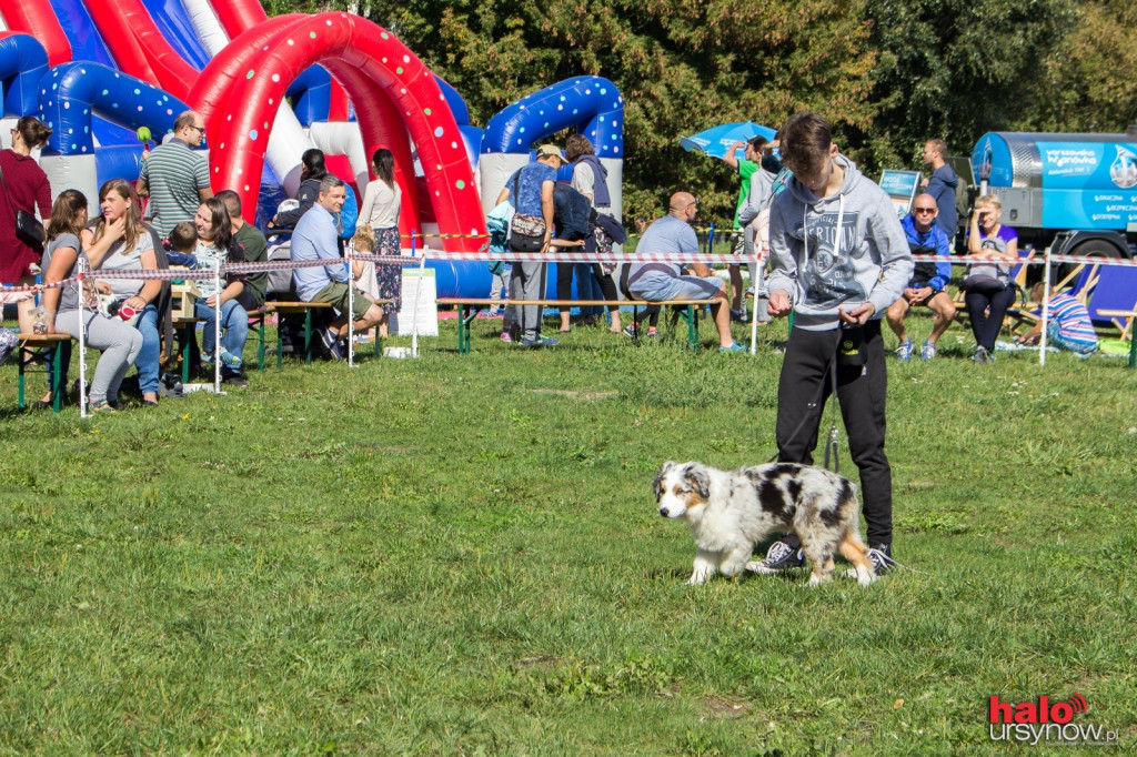 Wszystkie zwierzaki Ursynowa! Piknik na cztery łapy FOTO
