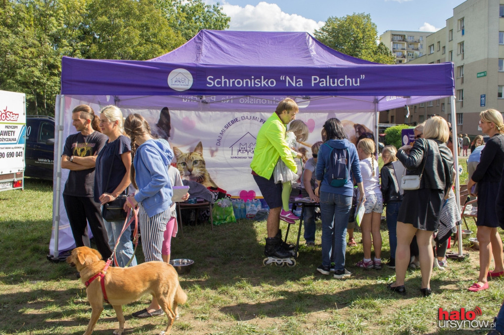 Wszystkie zwierzaki Ursynowa! Piknik na cztery łapy FOTO