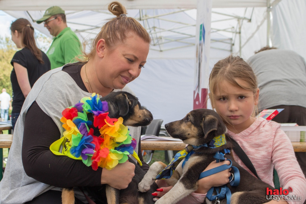 Wszystkie zwierzaki Ursynowa! Piknik na cztery łapy FOTO