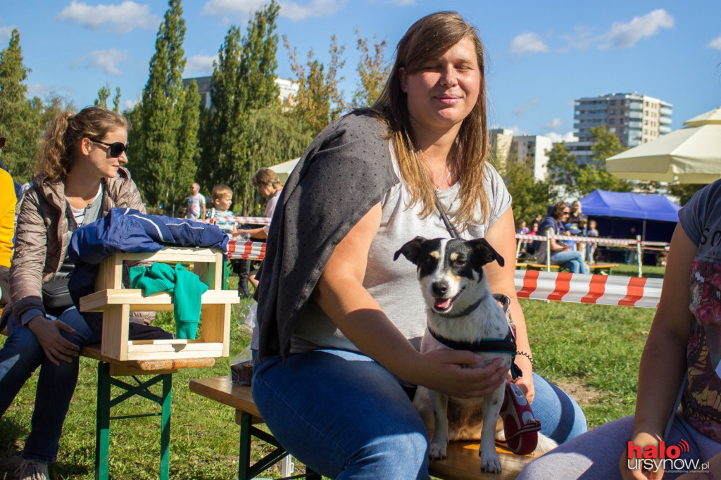Wszystkie zwierzaki Ursynowa! Piknik na cztery łapy FOTO