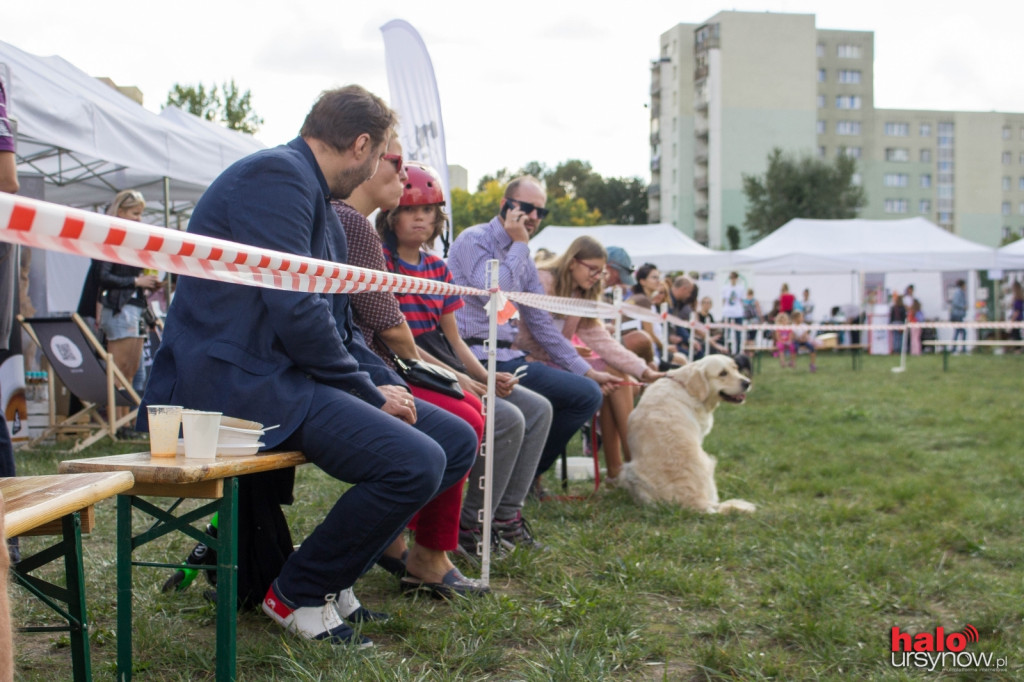 Wszystkie zwierzaki Ursynowa! Piknik na cztery łapy FOTO