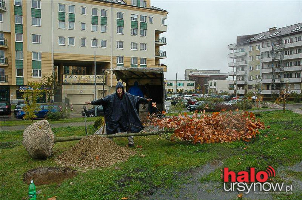 Nasz Park