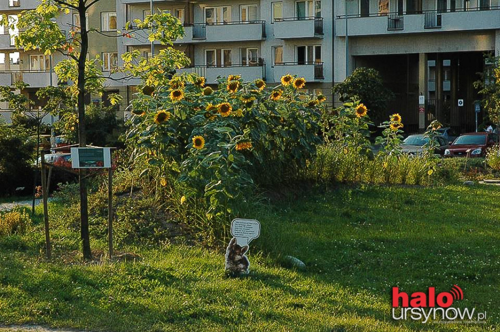 Nasz Park