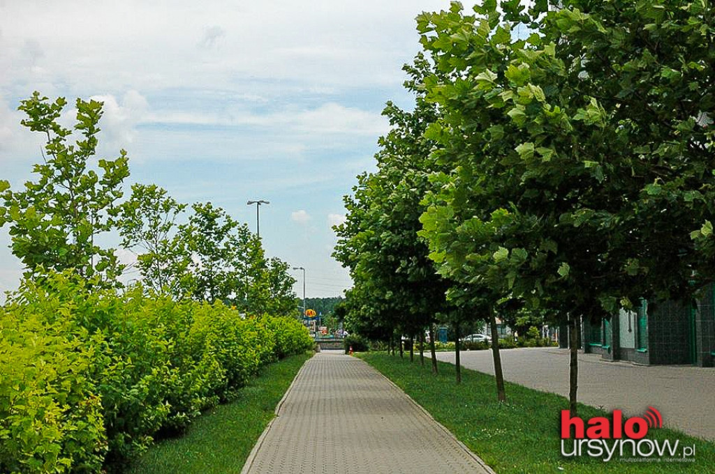 Nasz Park