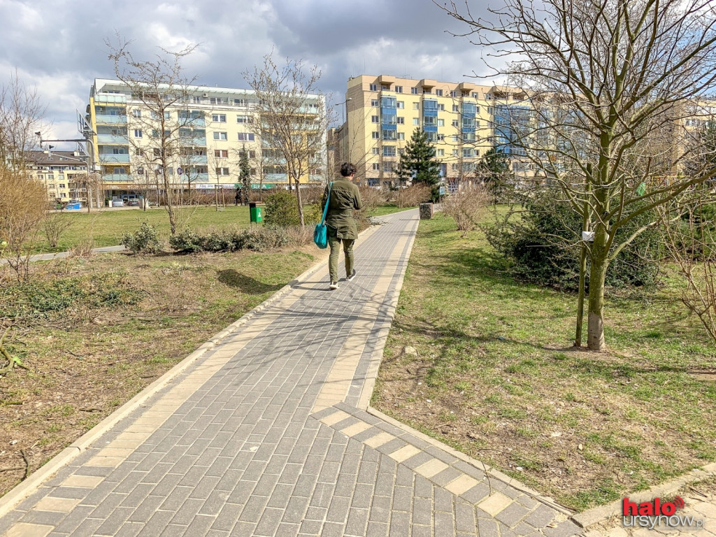 Park Powałki dzisiaj