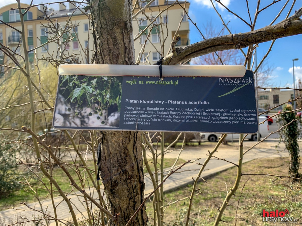 Park Powałki dzisiaj