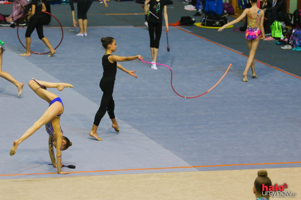 Irina Cup w Arenie Ursynów