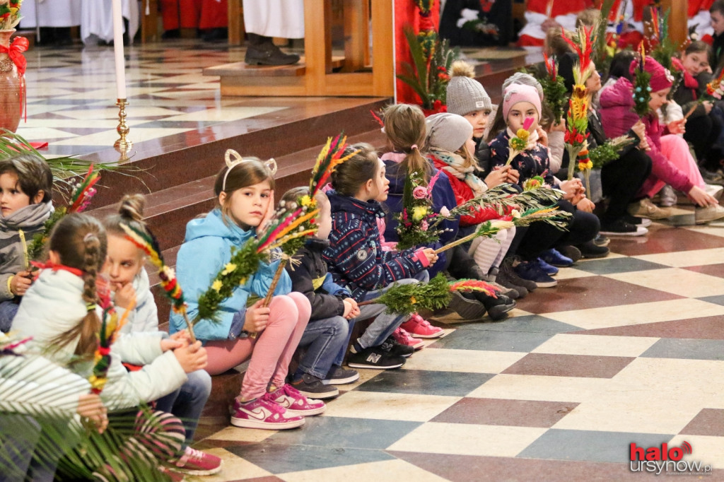 Niedziela Palmowa z kardynałem Nyczem