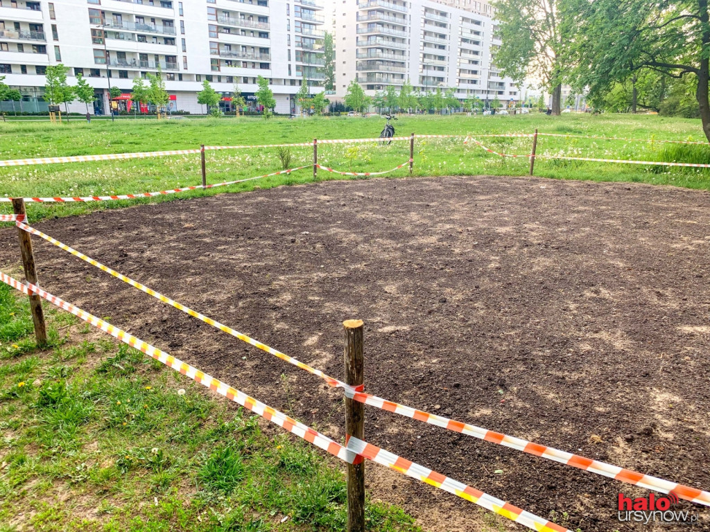 Łąka kwietna przy Polaka