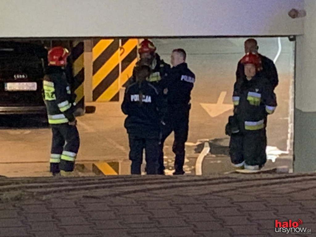 Dym na Wańkowicza. Na miejscu straż, policja i energetycy FOTO