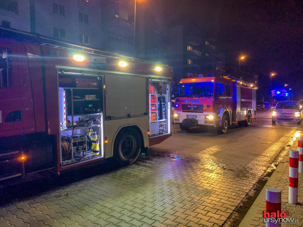 Dym na Wańkowicza. Na miejscu straż, policja i energetycy FOTO