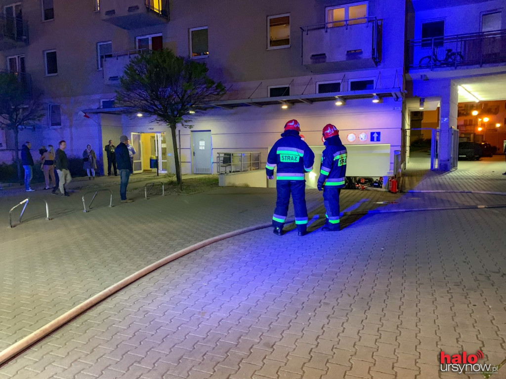 Dym na Wańkowicza. Na miejscu straż, policja i energetycy FOTO